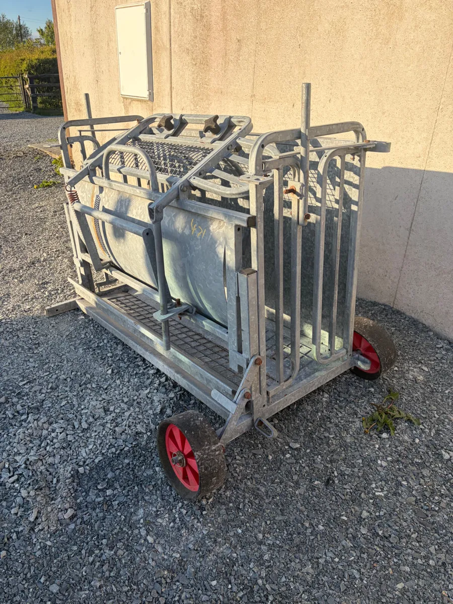 Ironwork Sheep Turnover Crate - Image 3