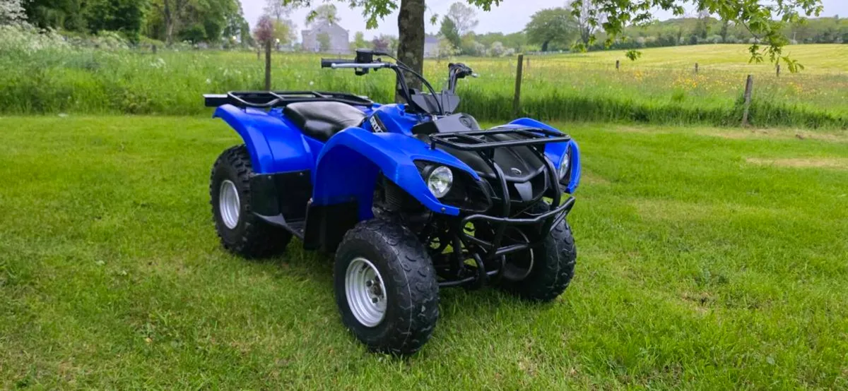 Yamaha Grizzly 125 - Image 2