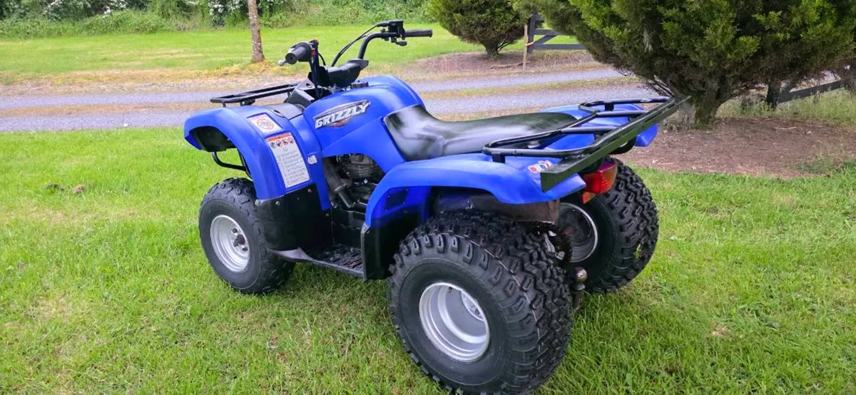 Yamaha Grizzly 125 - Image 4