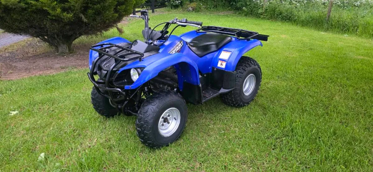 Yamaha Grizzly 125 - Image 1