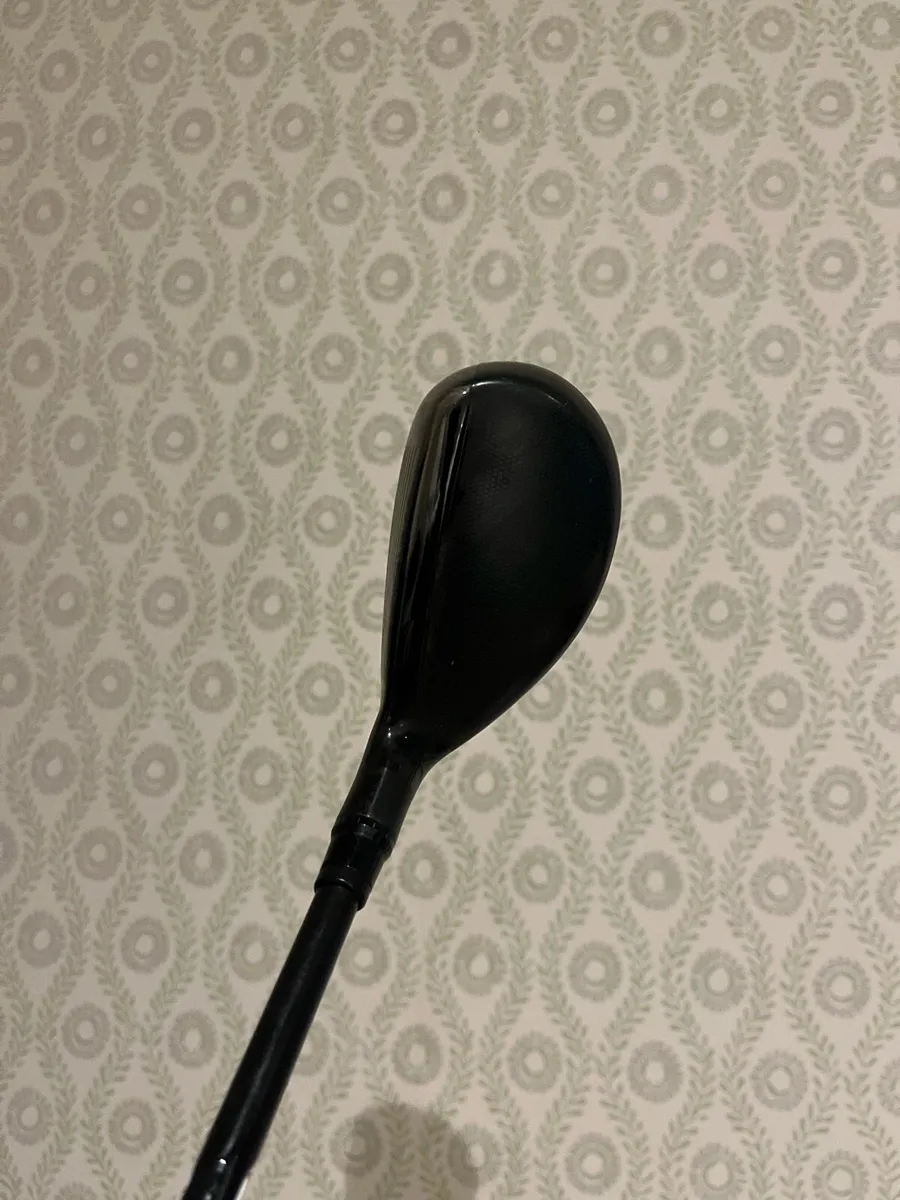 Golf hybrid - Image 2