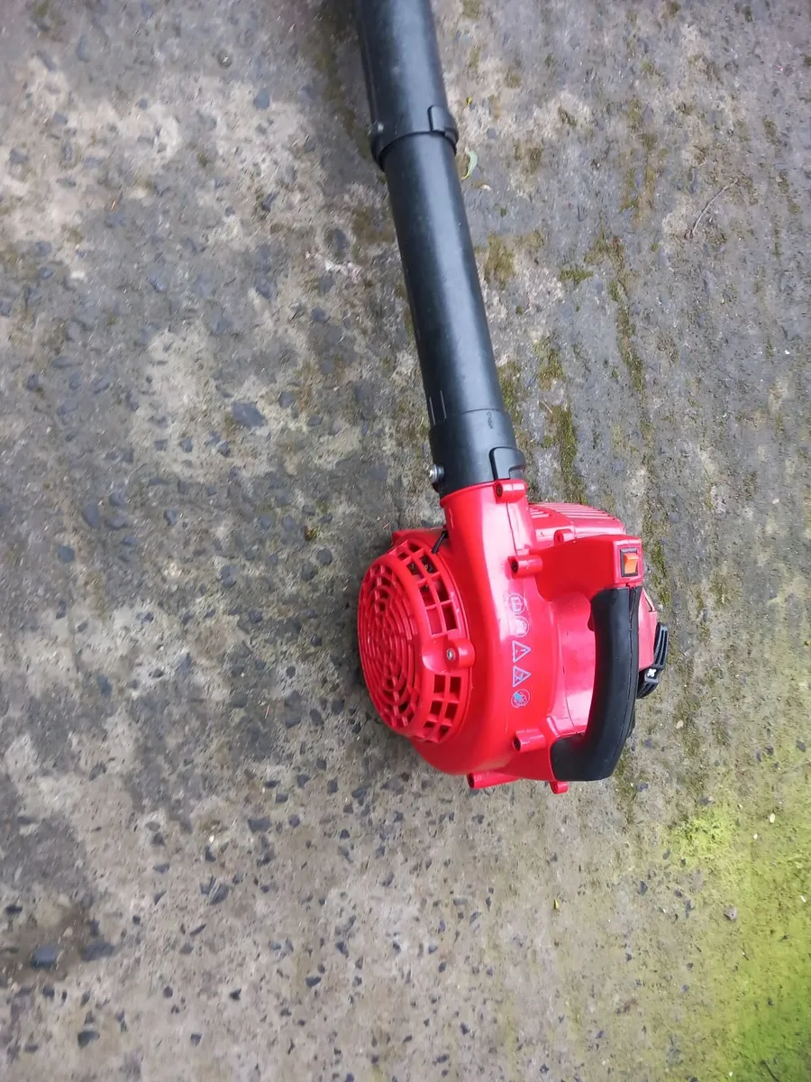Blower - Image 2