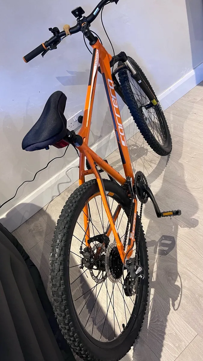 MOUNTAIN BIKE - Image 4