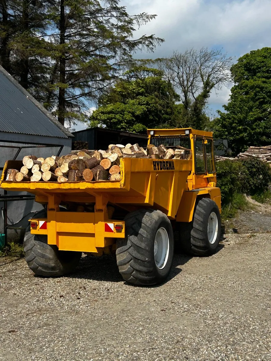 10 ton dumper - Image 1