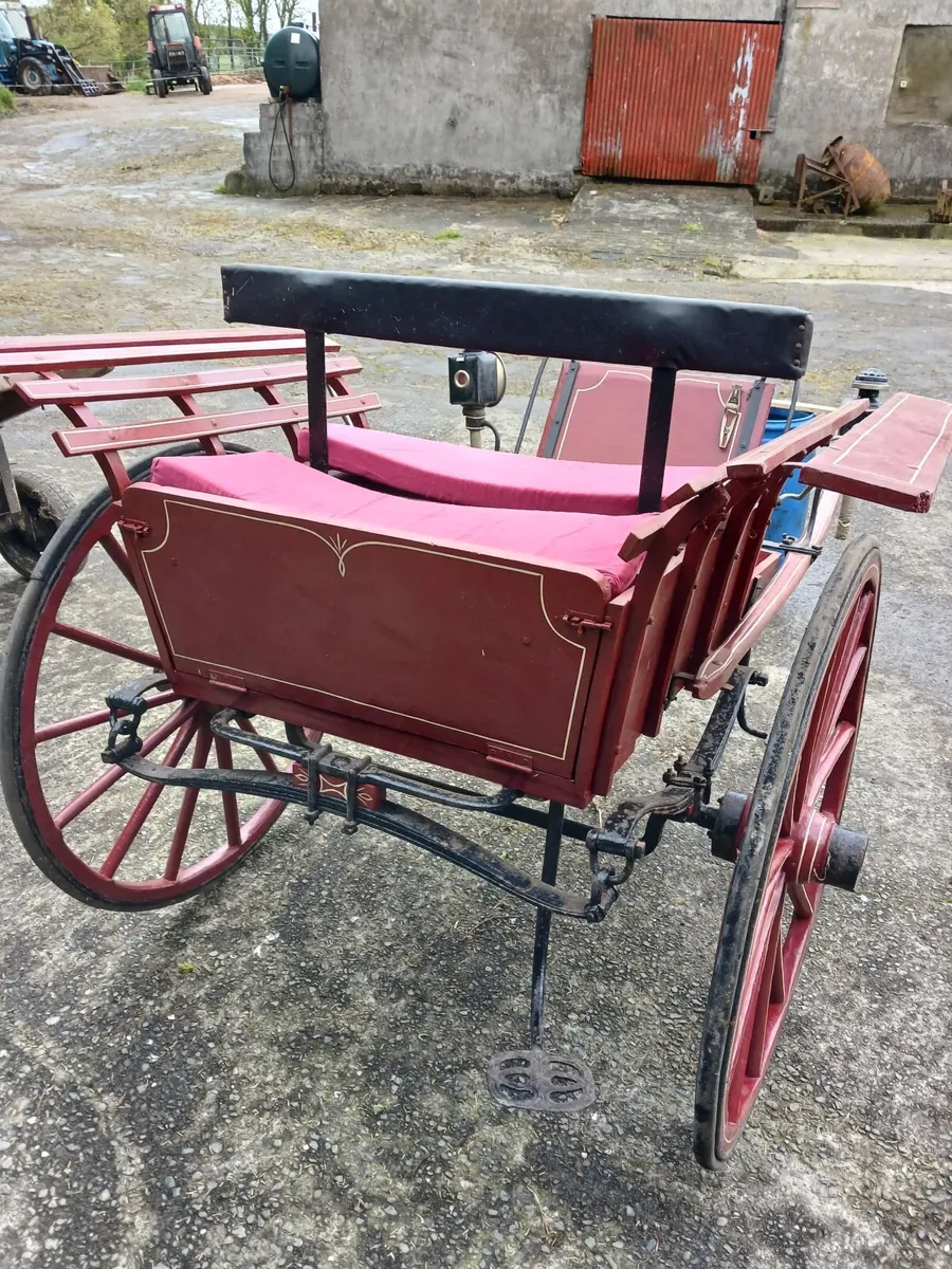 Horse carriage and donkey cart for sale - Image 1