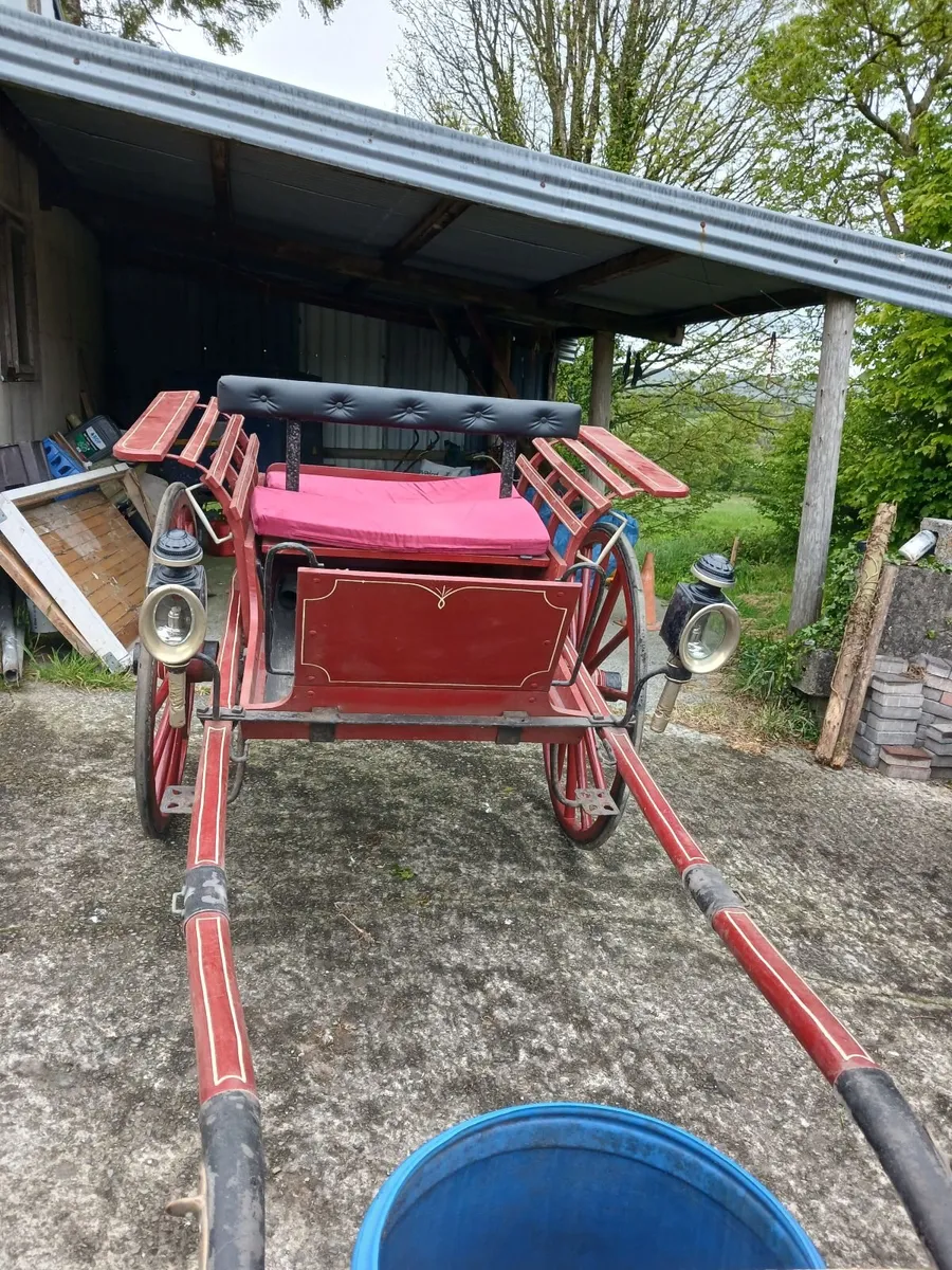 Horse carriage and donkey cart for sale - Image 2
