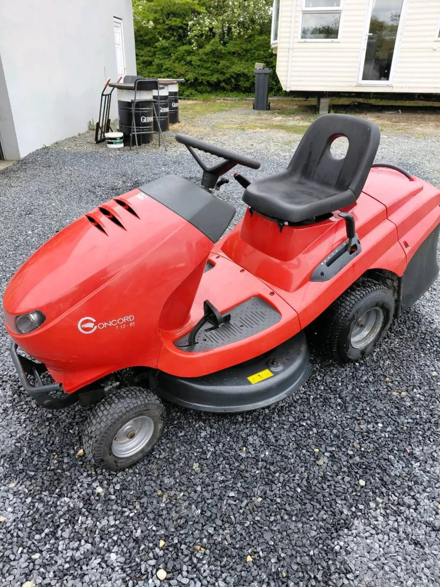 Lawn mower - Image 1