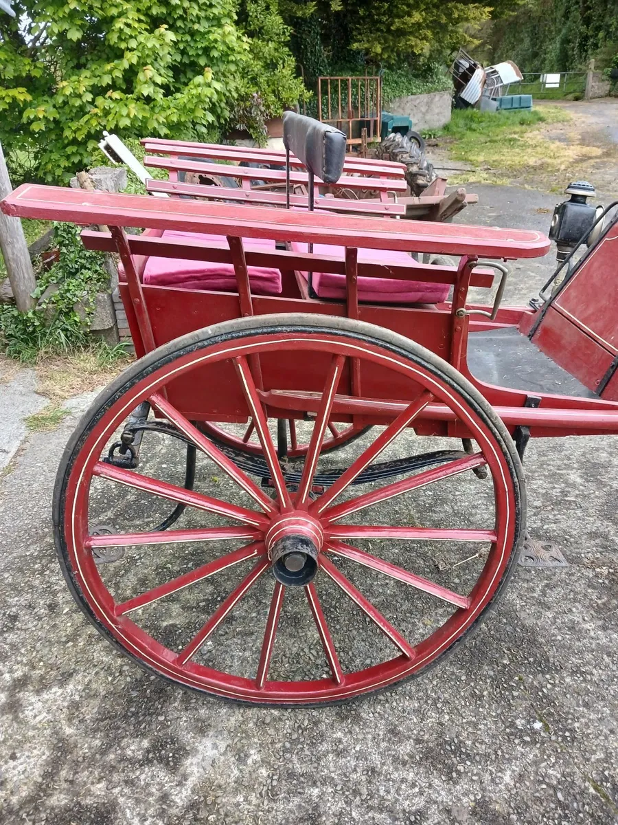 Horse carriage and donkey cart for sale - Image 3