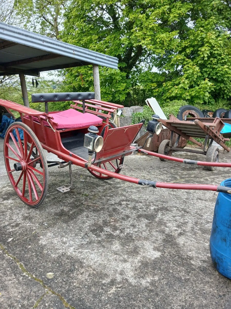 Horse carriage and donkey cart for sale - Image 4