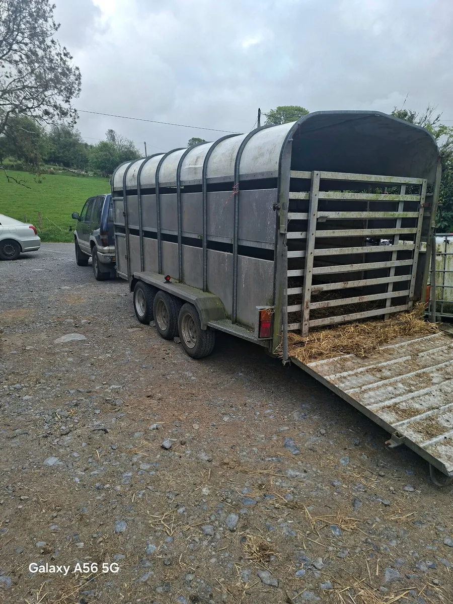 14 ft nugent tri axle trailer - Image 2