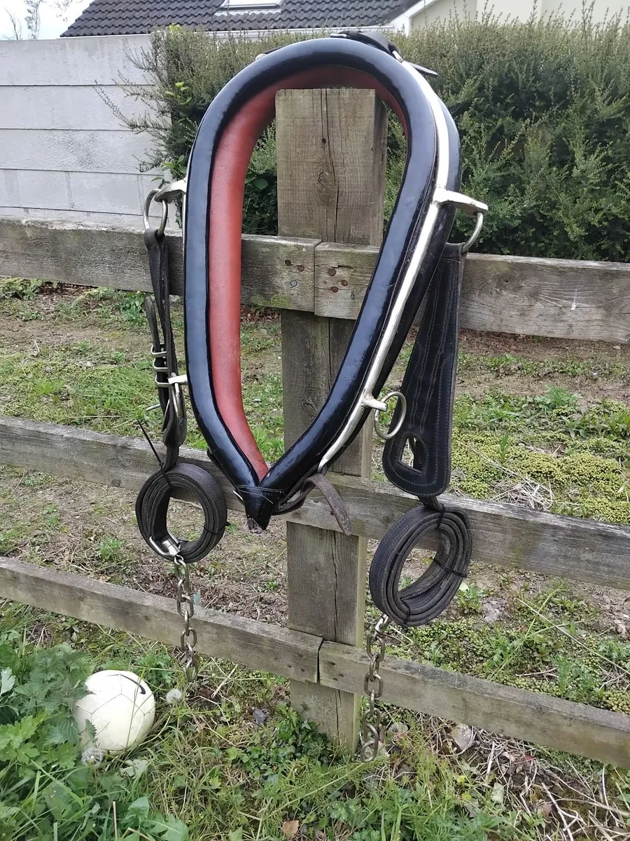 Horseshoe buckle harness - Image 2