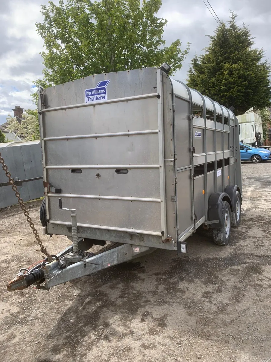 Ifor Williams 12ft cattle trailer - Image 2