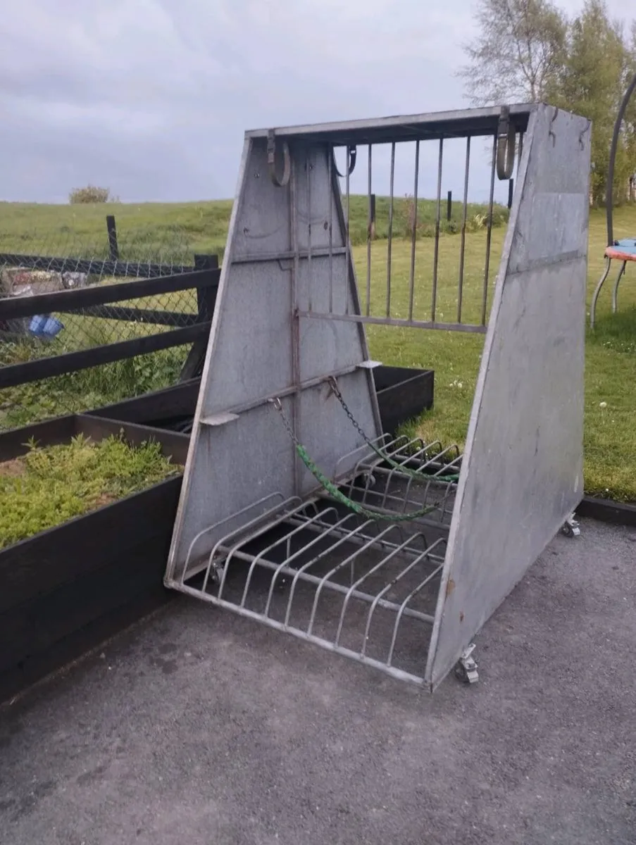 Bike shelter/Rack - Image 1