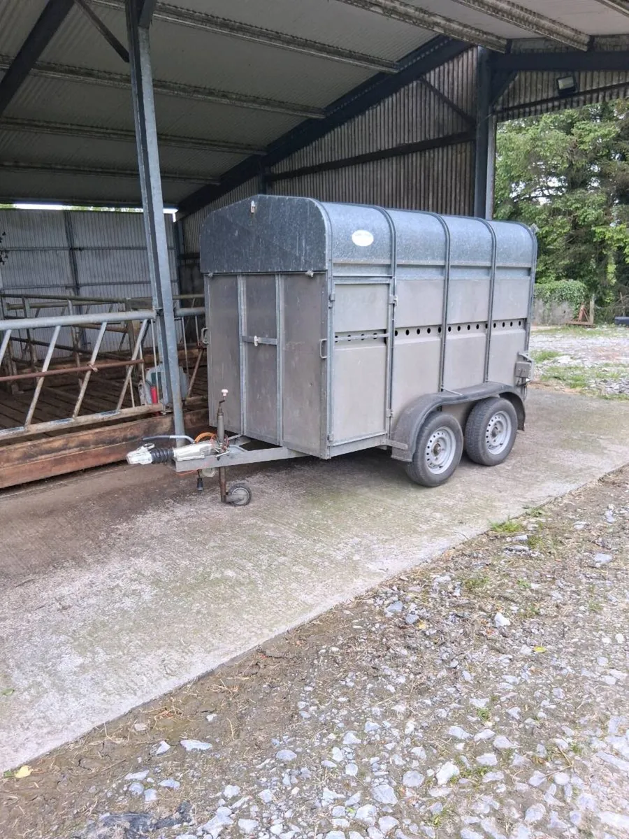 O' haire two cow aluminium trailer as new. - Image 2