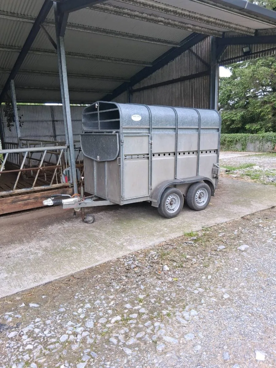 O' haire two cow aluminium trailer as new. - Image 1