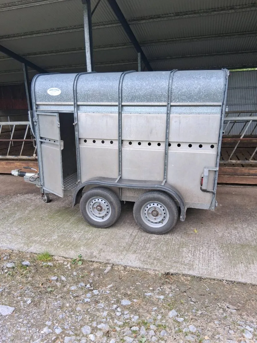 O' haire two cow aluminium trailer as new. - Image 3