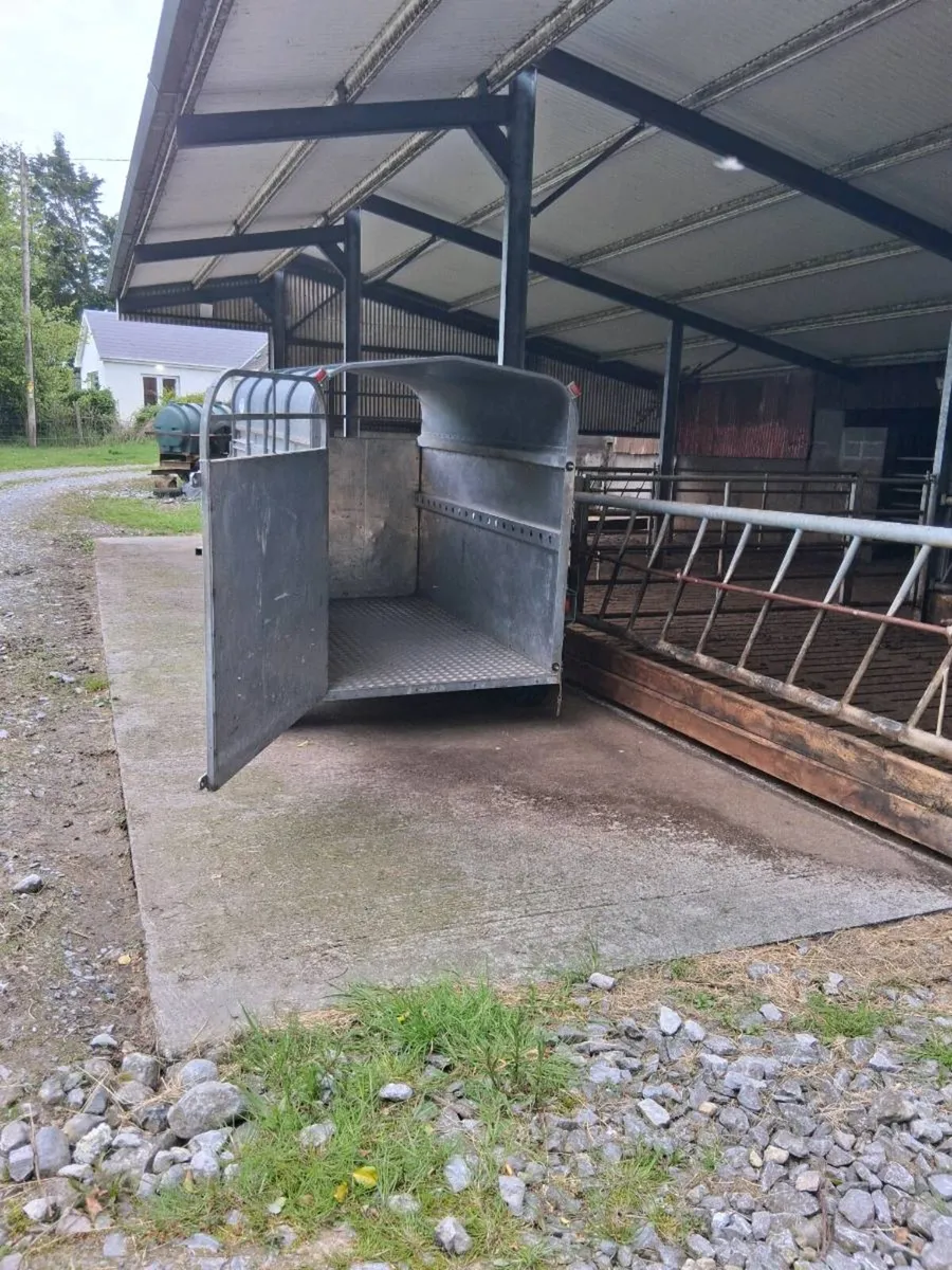 O' haire two cow aluminium trailer as new. - Image 4