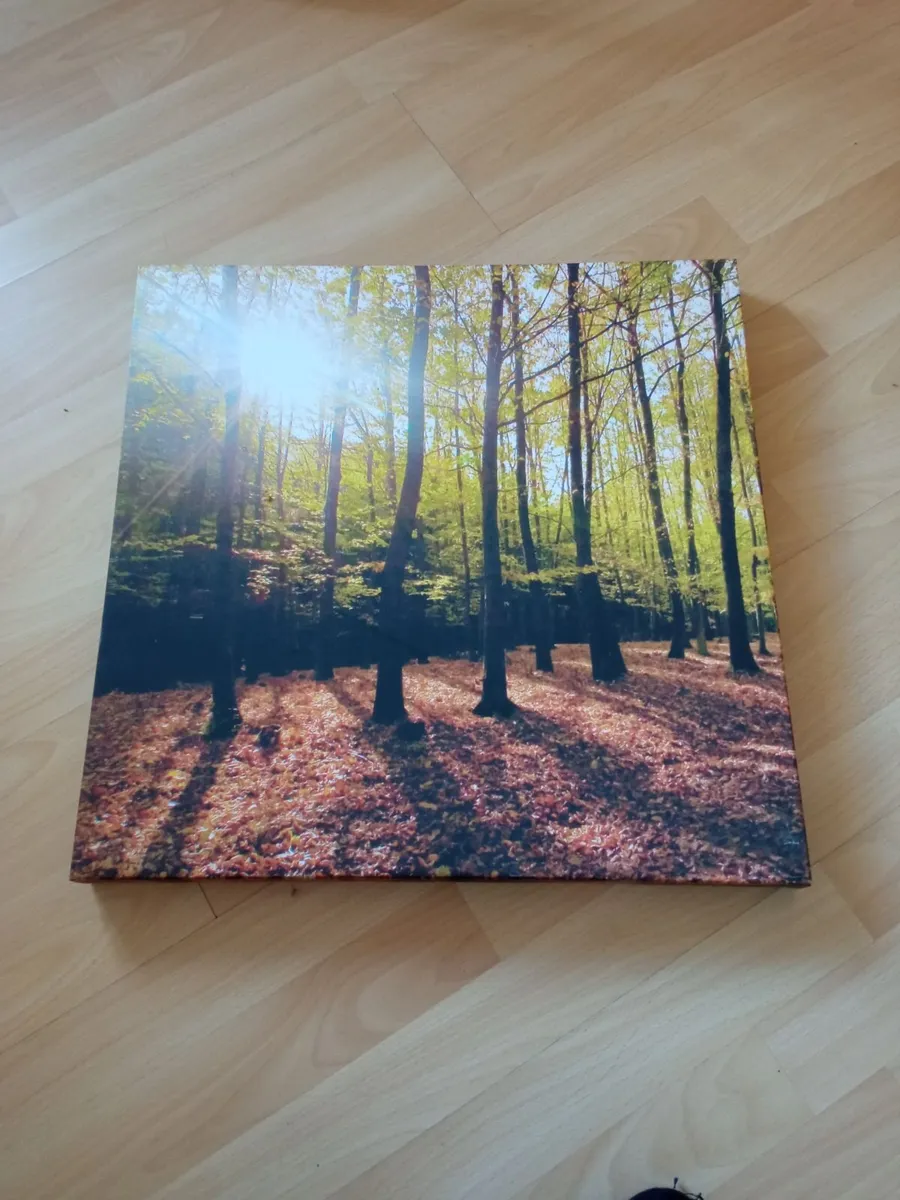 Canvas Picture - Image 1