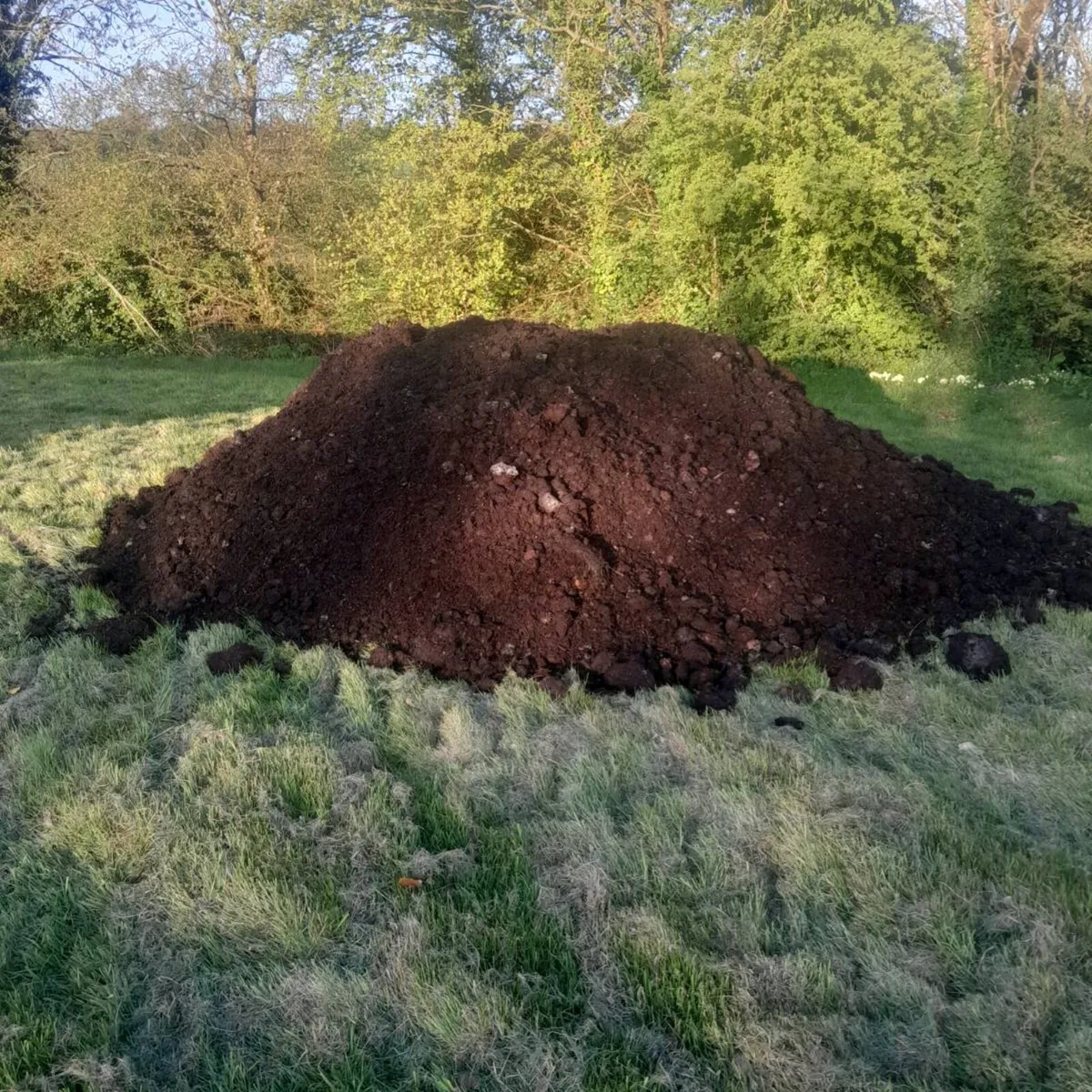 Mushroom compost delivered - Image 2