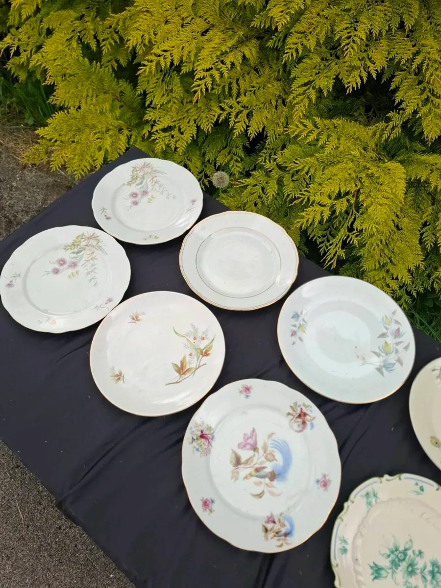 10 vintage china sides plates - Image 3