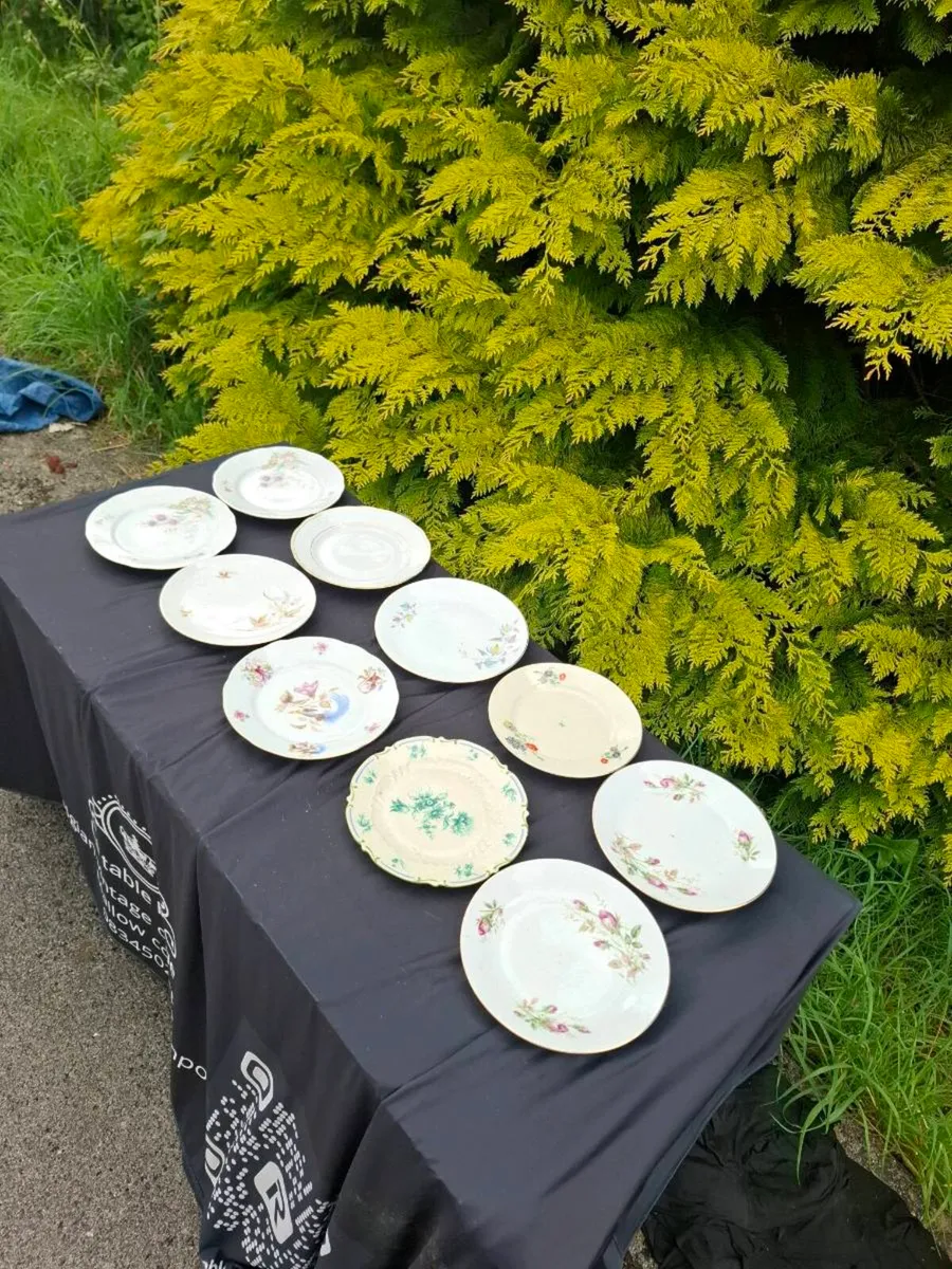 10 vintage china sides plates - Image 1