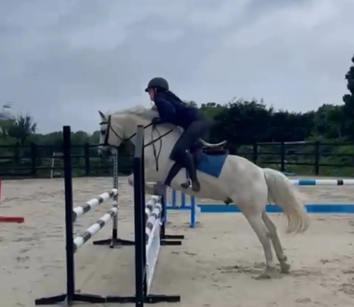 13.2 Pony - Image 2