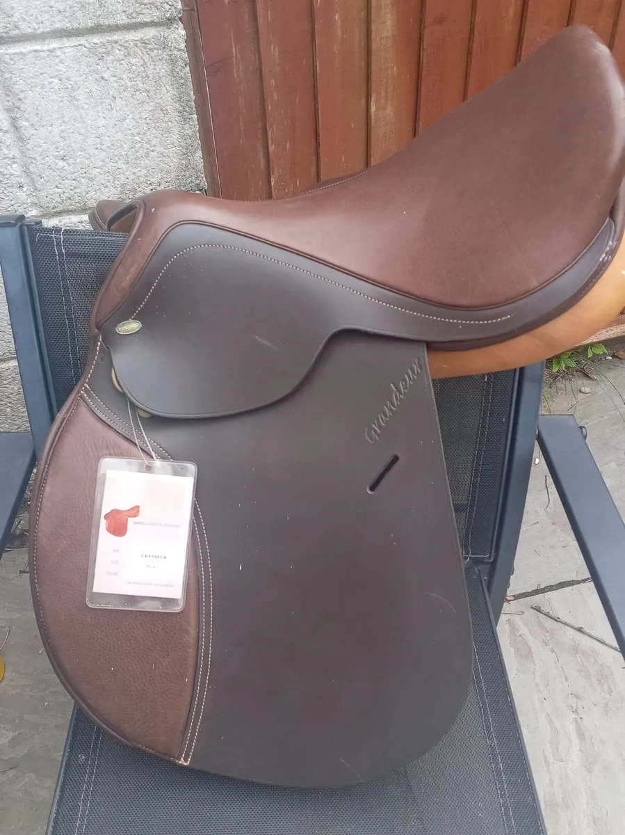 Saddle - Image 2