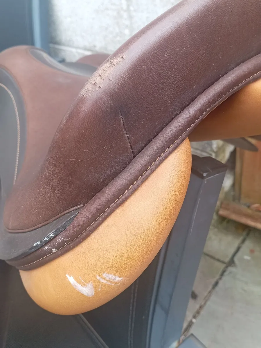 Saddle - Image 3