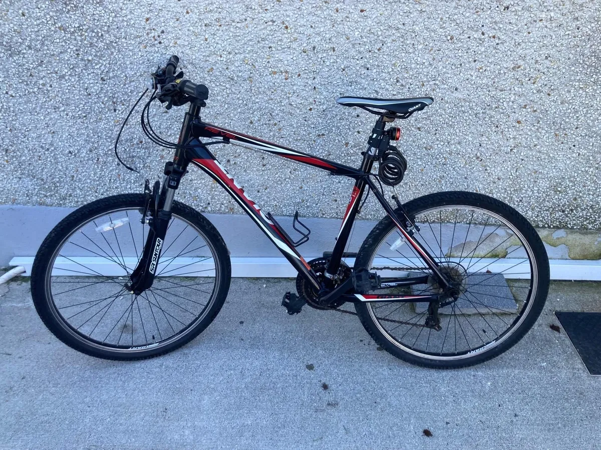 Mountain Bike - Image 1