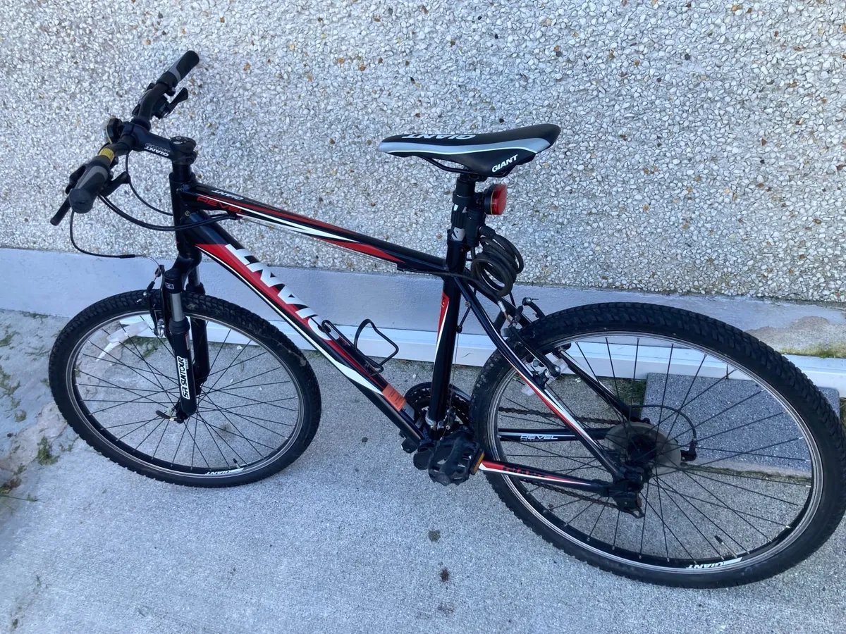 Mountain Bike - Image 2