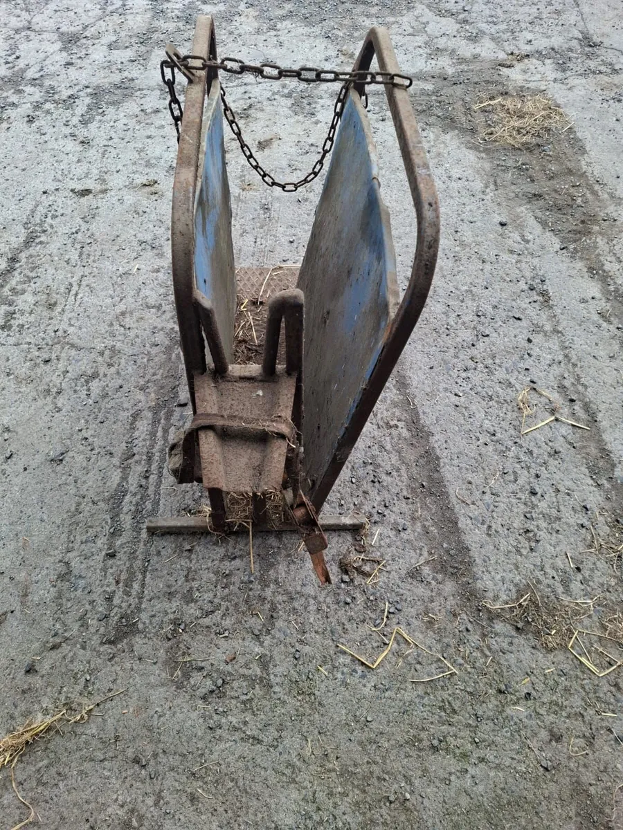 Calf dehorning crate - Image 2