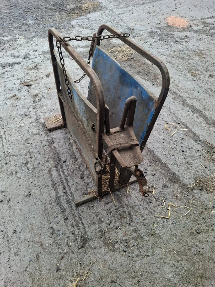 Calf dehorning crate - Image 3