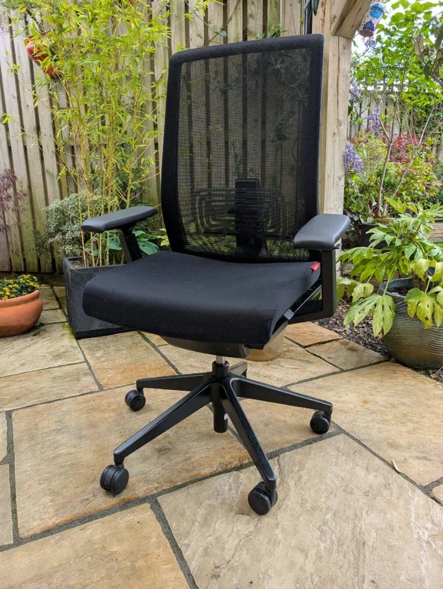 Ergonomic office chair - Image 1