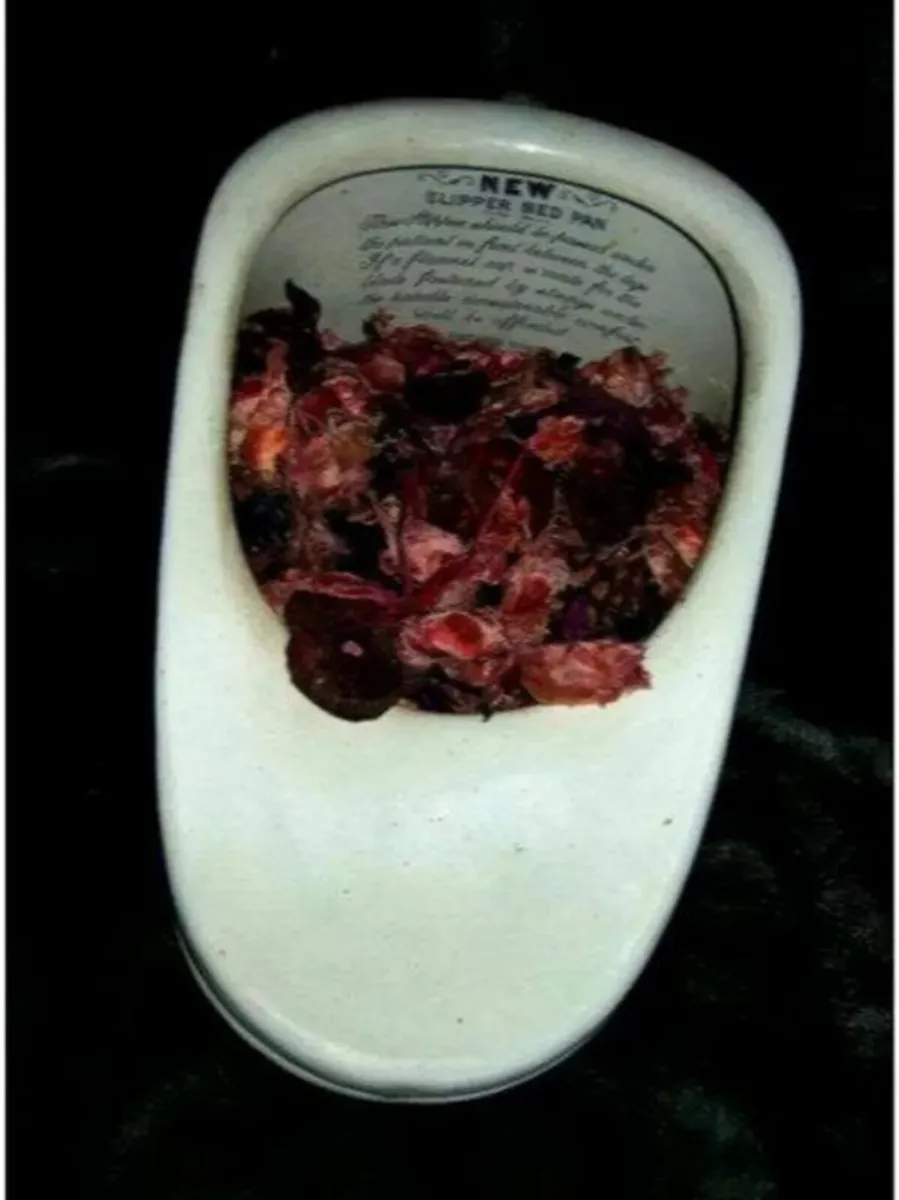 Authentic Vintage Bedpan - Image 1