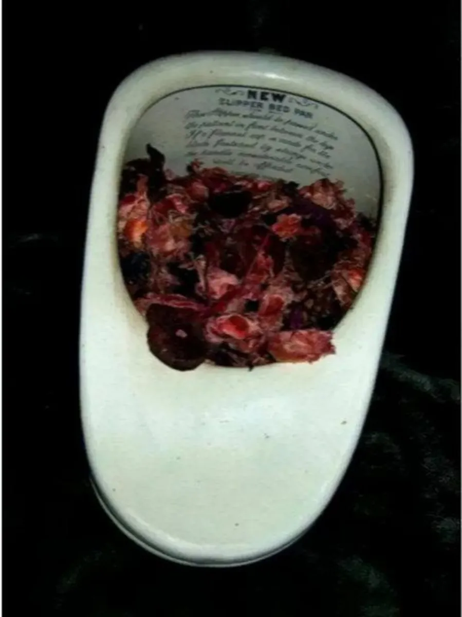 Authentic Vintage Bedpan - Image 3