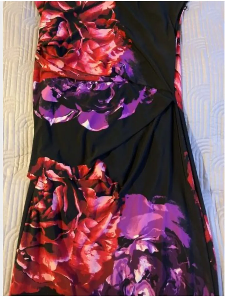 Stunning Debenhams The Collection dress Size 12 - Image 4