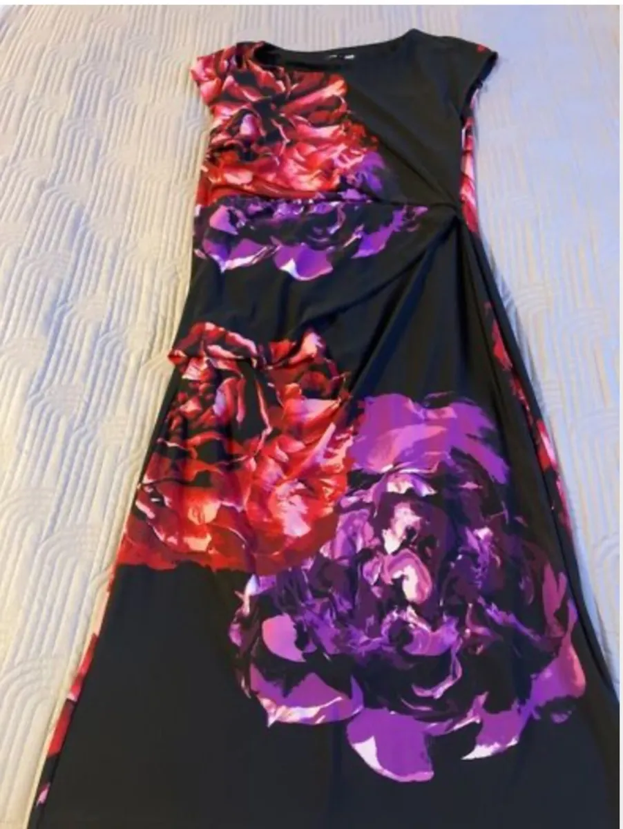 Stunning Debenhams The Collection dress Size 12 - Image 1