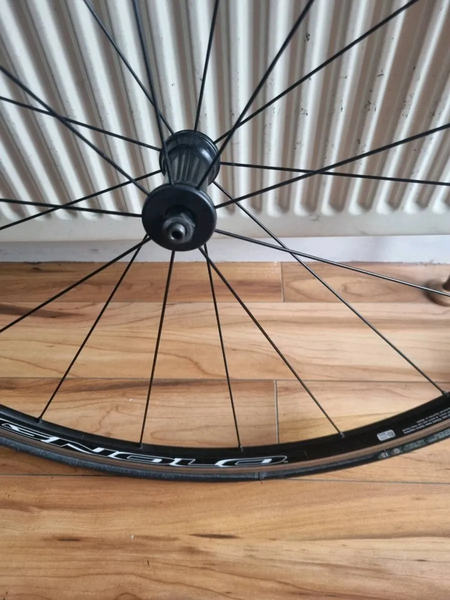 Campagnolo Khamsin Rim Brake Wheels - Image 3