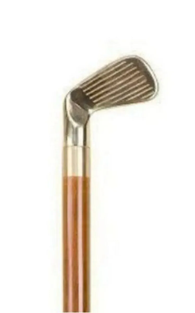 Vintage Walking/Drinking Stick - Image 3
