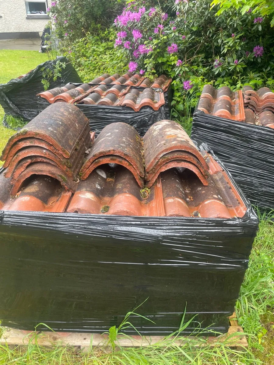Terracotta roof tiles - Image 2