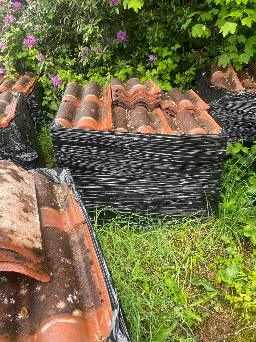 Terracotta roof tiles - Image 3