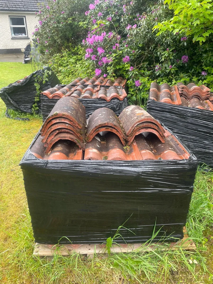 Terracotta roof tiles - Image 1