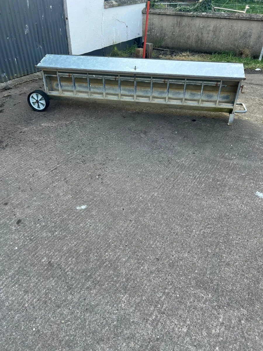 8ft lamb feeders