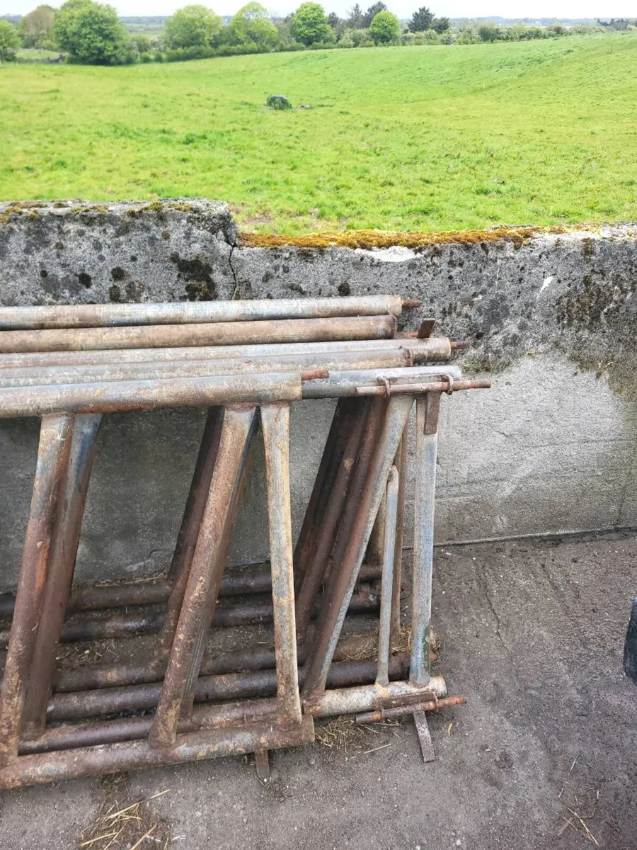 Feeding barriers - Image 3