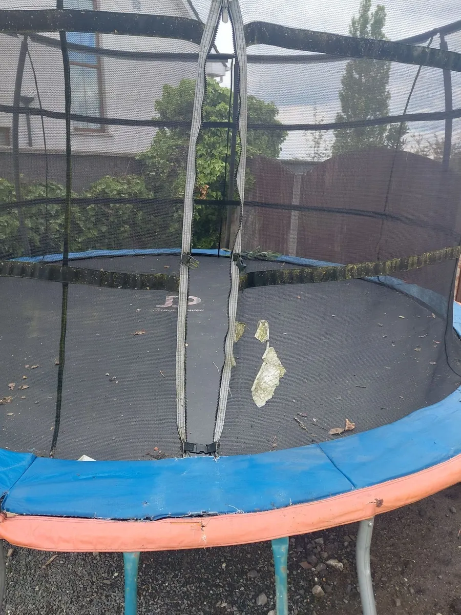Trampoline - Image 2
