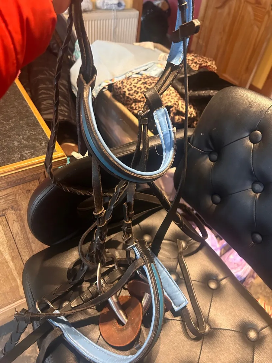 Bridle for sale large