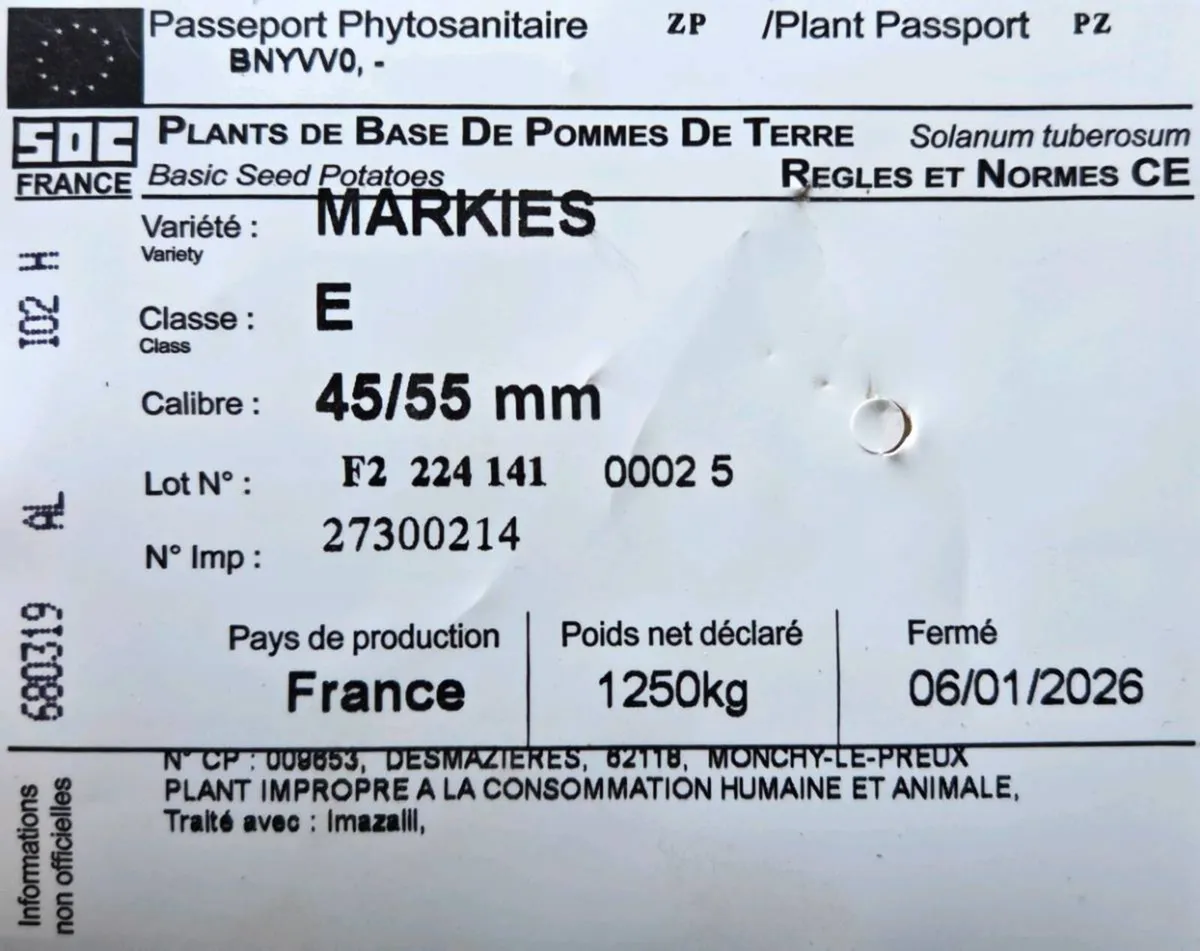 Markies Potato Seed - Image 3