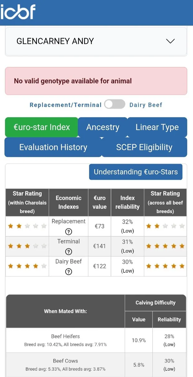 CH PBR Bull 5 star 🌟 - Image 4