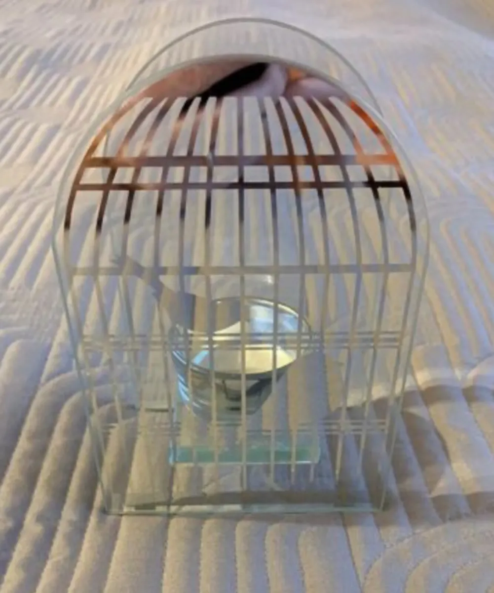 Beautiful Glass Bird Tealight holder - Image 2