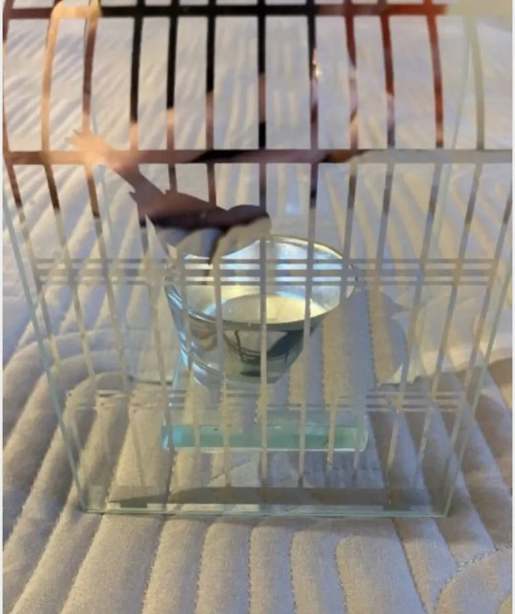 Beautiful Glass Bird Tealight holder - Image 3